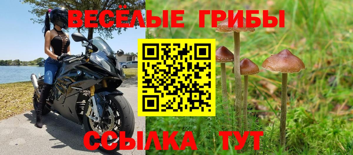 Псилоцибиновые грибы MAGIC MUSHROOMS Обь