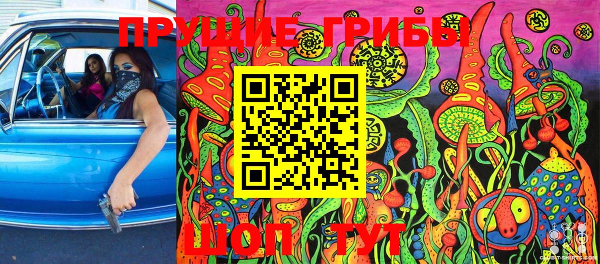 Галлюциногенные грибы Psilocybine cubensis  Вход с VPN  Обь 
